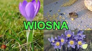 Wiosna - pierwsze oznaki w przyrodzie - nowy film edukacyjny dla dzieci po  polsku - AbcZabawa - YouTube